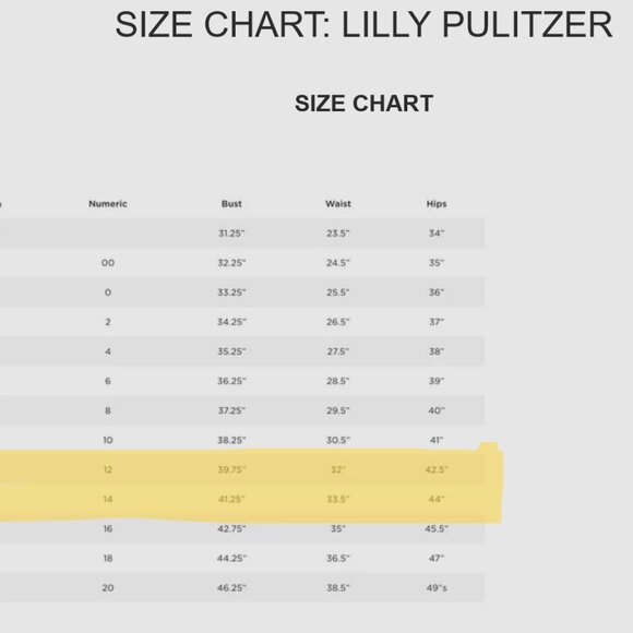 Ophelia Swing Dress: Where Palm Prints Meet Paradise - Lilly Pulitzer - Picture 8 of 8